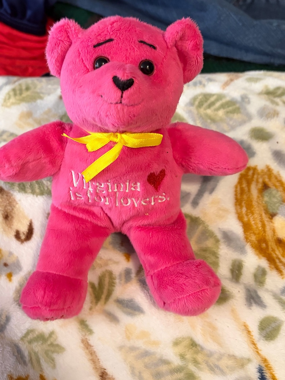 Virginia Is For Lovers Pink Plush Teddy Bear with Yellow Bow
